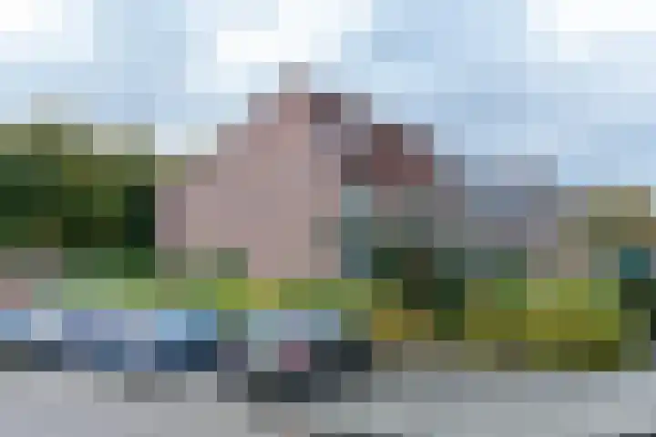 Zwolseveste 1 Nieuwegein thumbnail 70