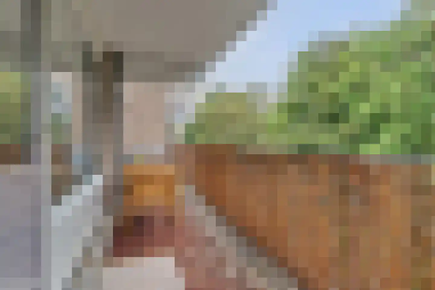 Zwolseveste 111 Nieuwegein thumbnail 29