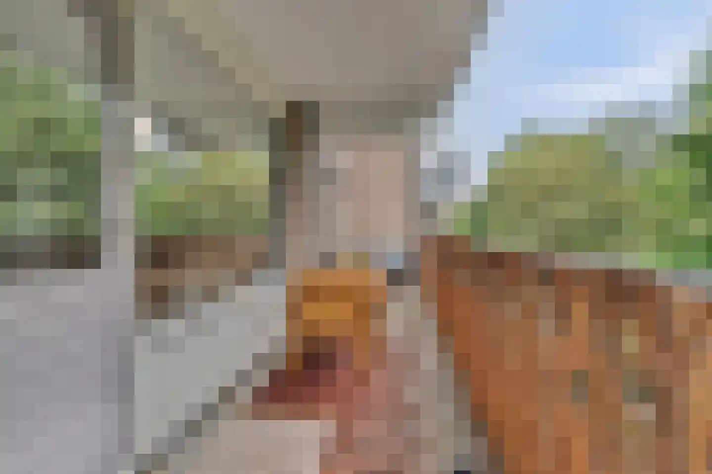 Zwolseveste 111 Nieuwegein thumbnail 30