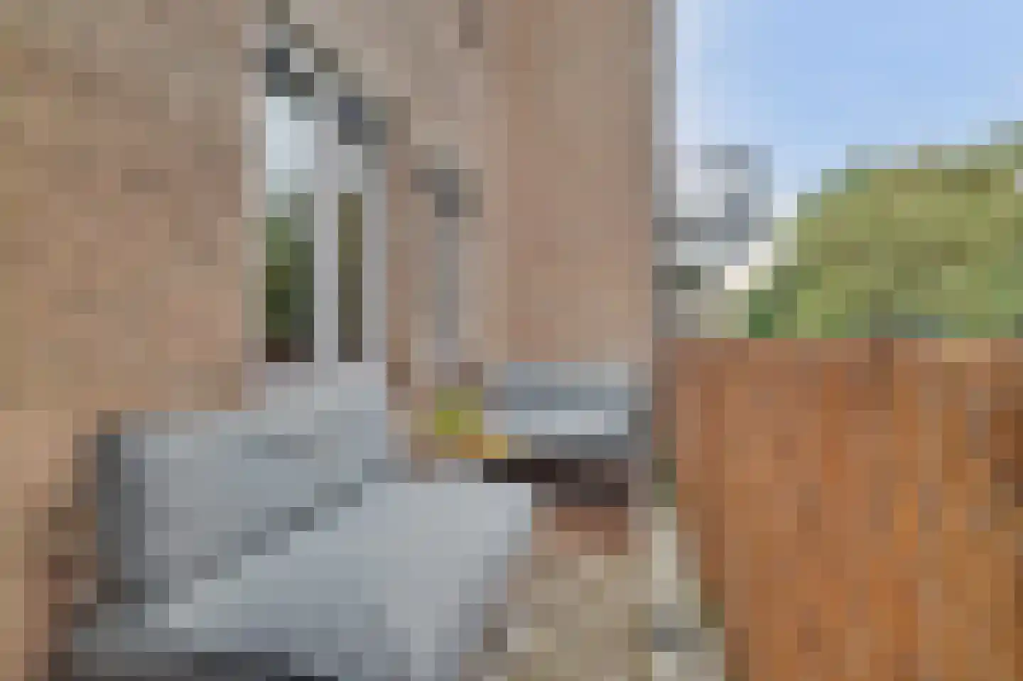 Zwolseveste 111 Nieuwegein thumbnail 31
