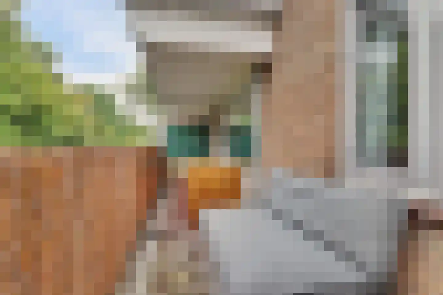 Zwolseveste 111 Nieuwegein thumbnail 32