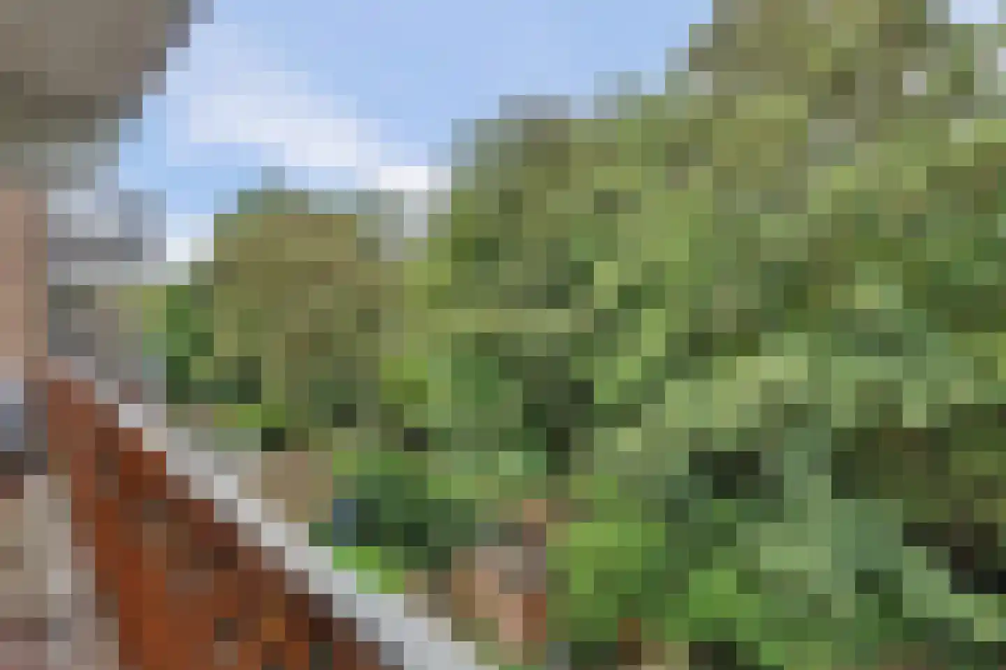 Zwolseveste 111 Nieuwegein thumbnail 33