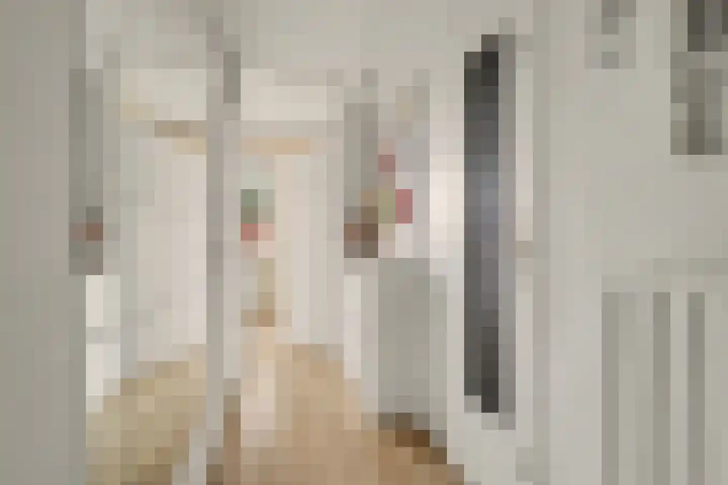 Zwolseveste 111 Nieuwegein thumbnail 6