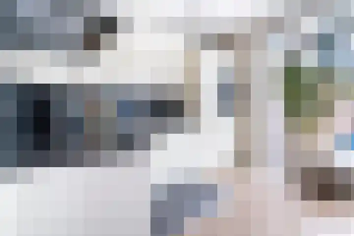 Zwolseveste 2 Nieuwegein thumbnail 13