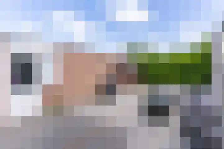 Zwolseveste 2 Nieuwegein thumbnail 14