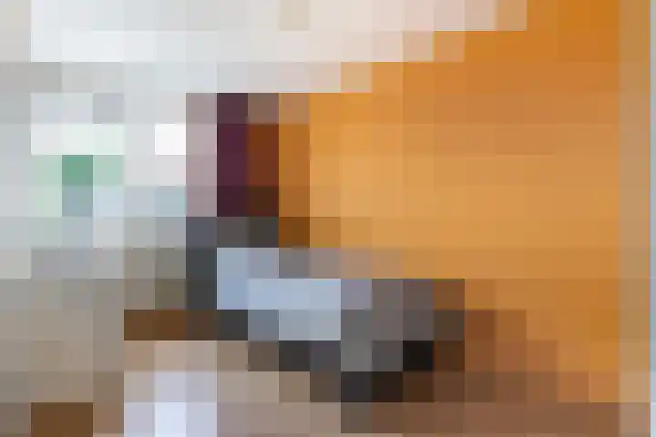 Zwolseveste 2 Nieuwegein thumbnail 22