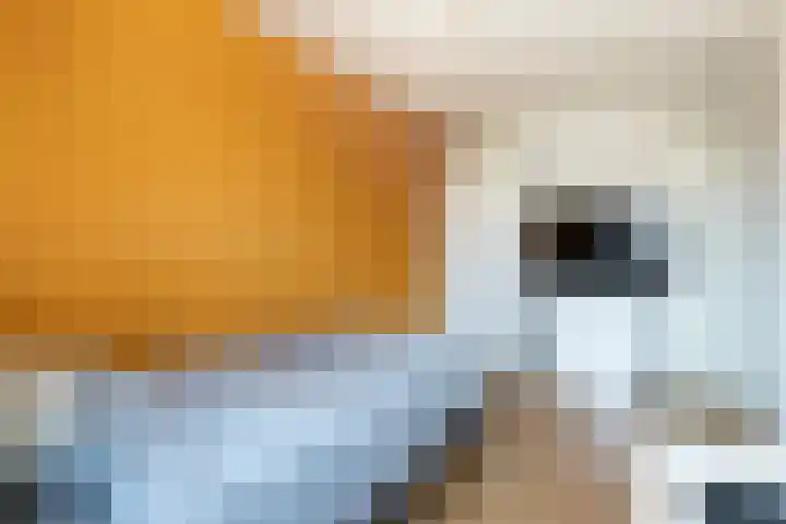 Zwolseveste 2 Nieuwegein thumbnail 23