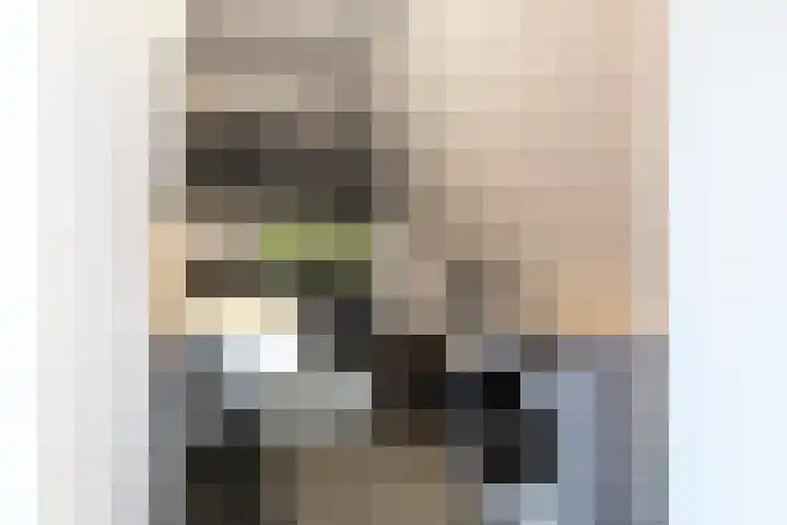 Zwolseveste 2 Nieuwegein thumbnail 31