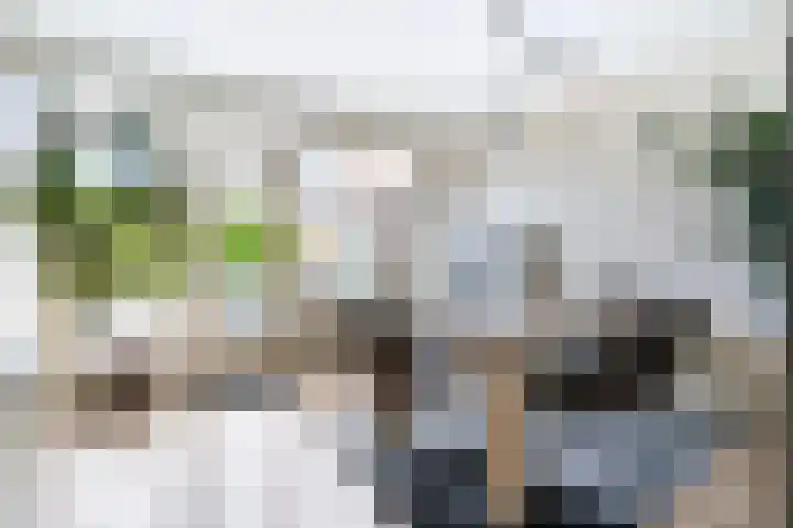 Zwolseveste 2 Nieuwegein thumbnail 9