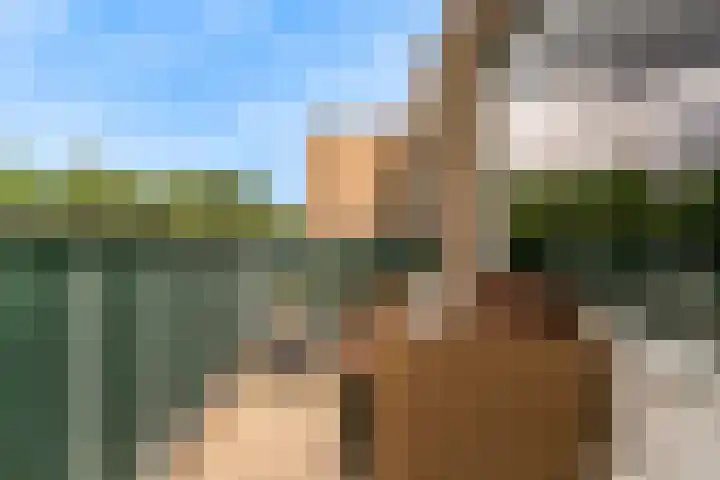 Zwolseveste 31 Nieuwegein thumbnail 19