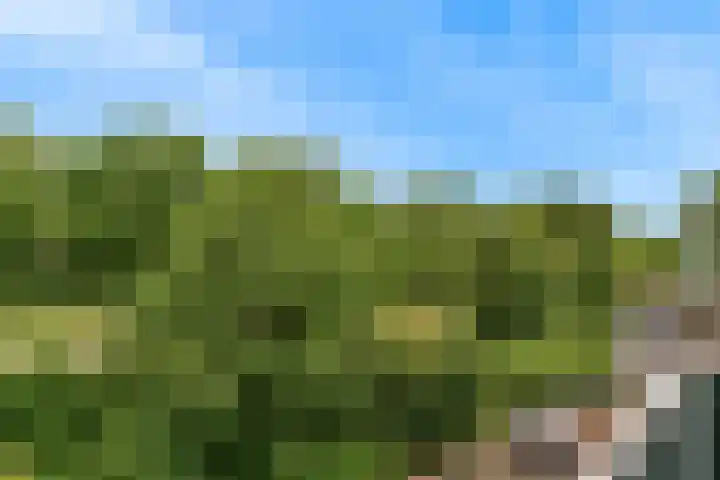 Zwolseveste 31 Nieuwegein thumbnail 20