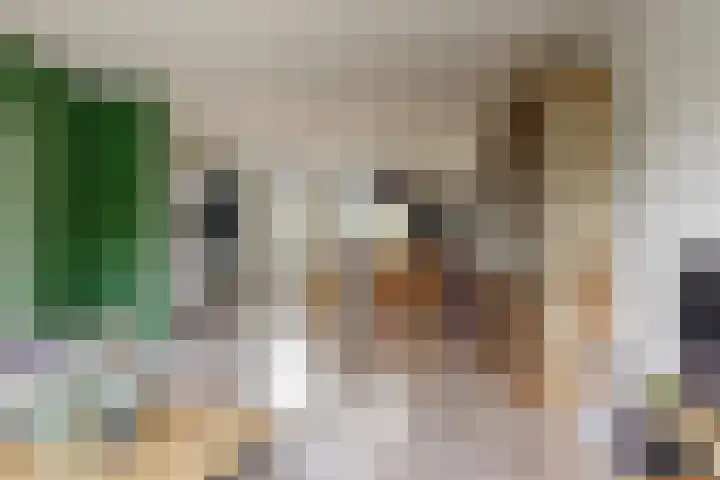 Zwolseveste 31 Nieuwegein thumbnail 5