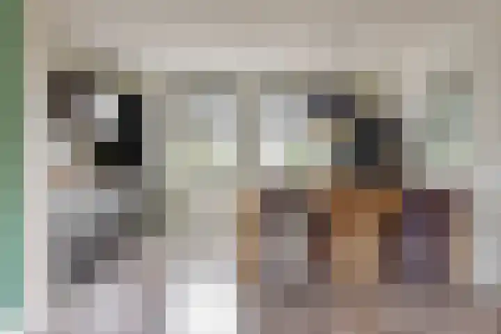 Zwolseveste 31 Nieuwegein thumbnail 6