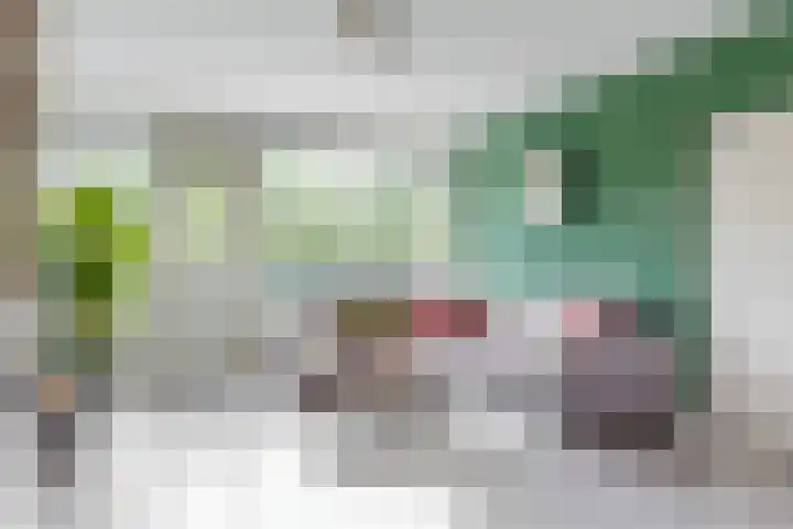 Zwolseveste 31 Nieuwegein thumbnail 8