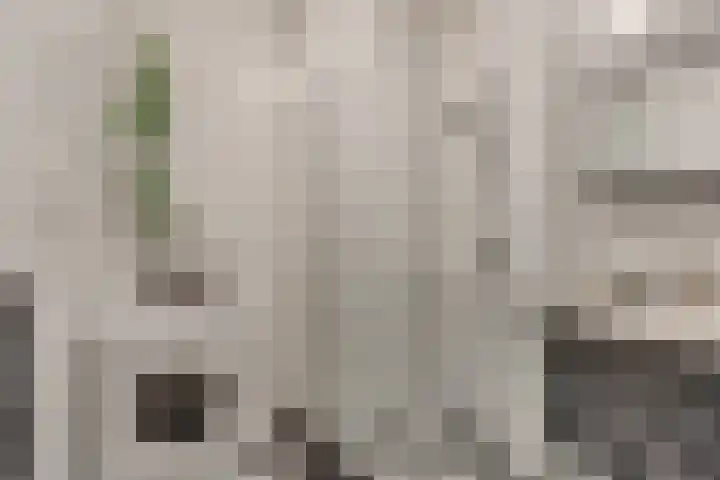 Zwolseveste 71 Nieuwegein thumbnail 12