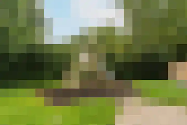 Zwolseveste 71 Nieuwegein thumbnail 18