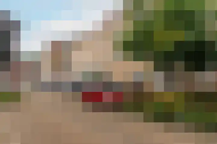 Zwolseveste 71 Nieuwegein thumbnail 23