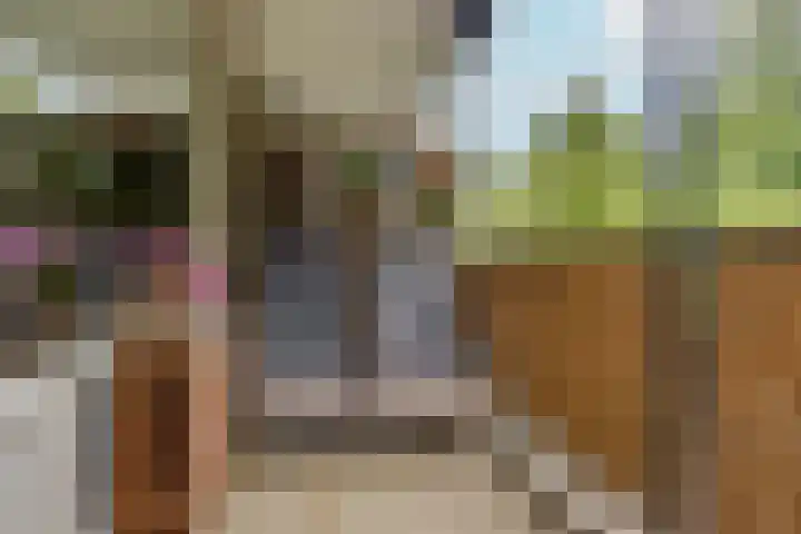Zwolseveste 71 Nieuwegein thumbnail 4