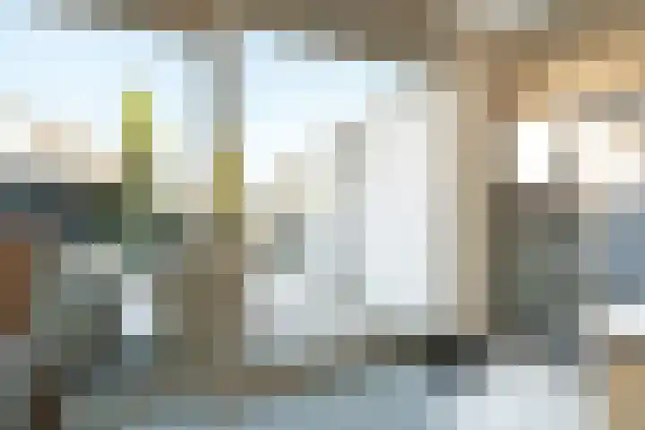 Zwolseveste 8 Nieuwegein thumbnail 12