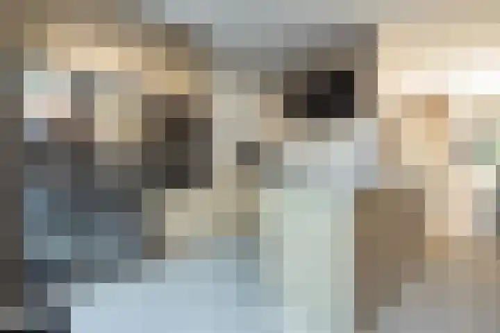 Zwolseveste 8 Nieuwegein thumbnail 13