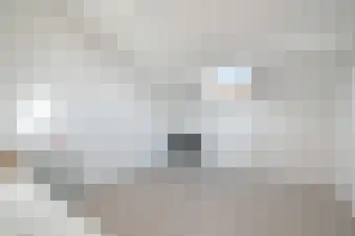 Zwolseveste 8 Nieuwegein thumbnail 20