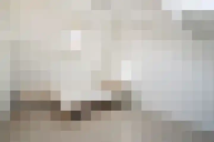 Zwolseveste 8 Nieuwegein thumbnail 21