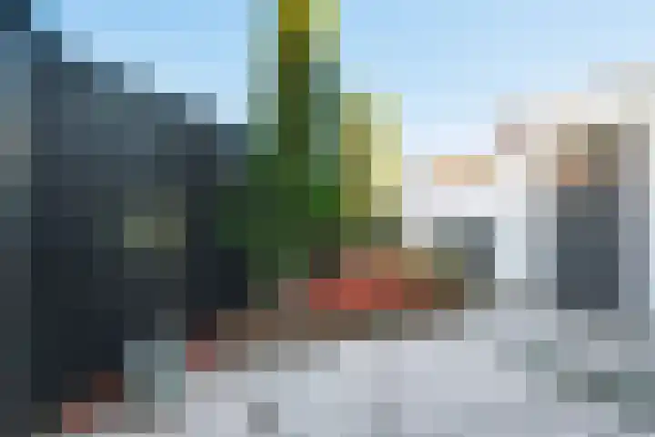 Zwolseveste 8 Nieuwegein thumbnail 24