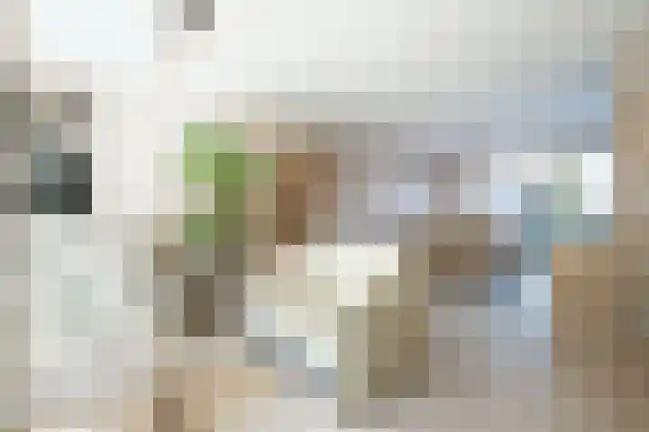 Zwolseveste 8 Nieuwegein thumbnail 8