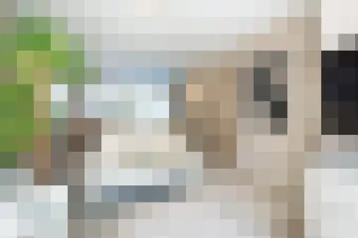 Zwolseveste 8 Nieuwegein thumbnail 9