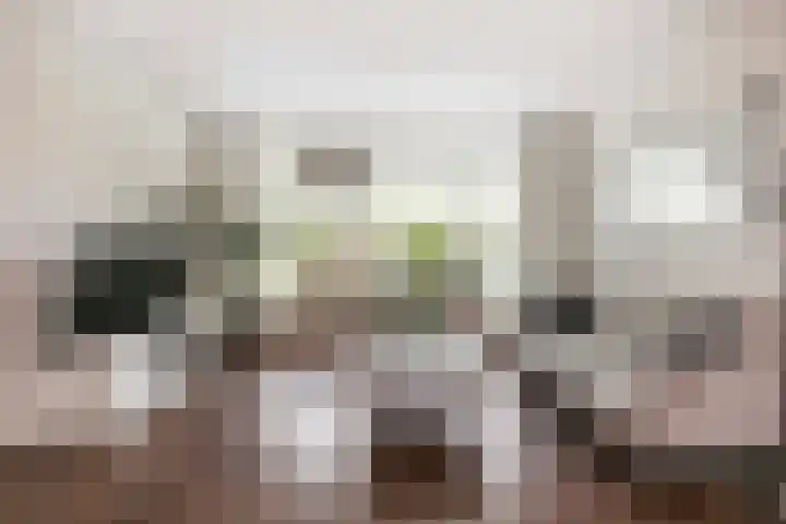 Zwolseveste 85 Nieuwegein thumbnail 10