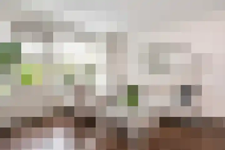 Zwolseveste 85 Nieuwegein thumbnail 11