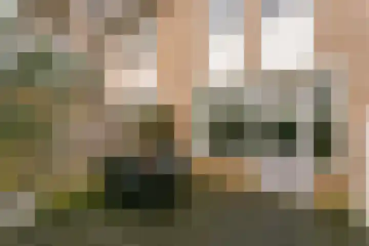 Zwolseveste 85 Nieuwegein thumbnail 26
