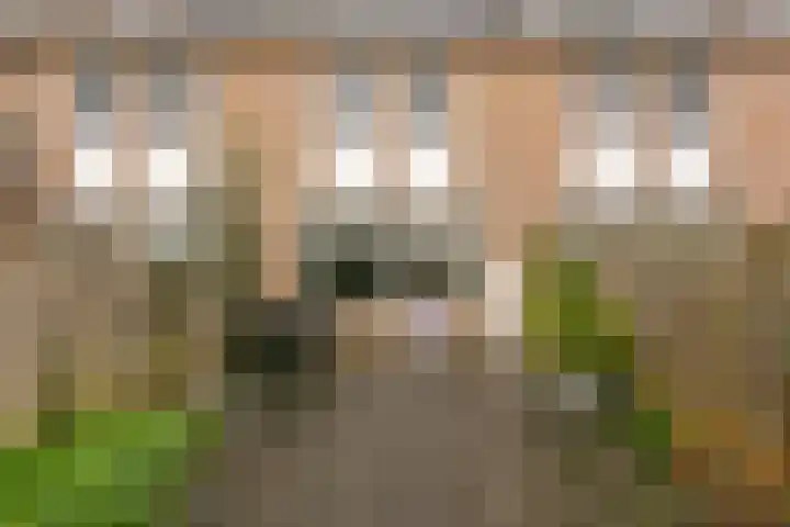 Zwolseveste 85 Nieuwegein thumbnail 27