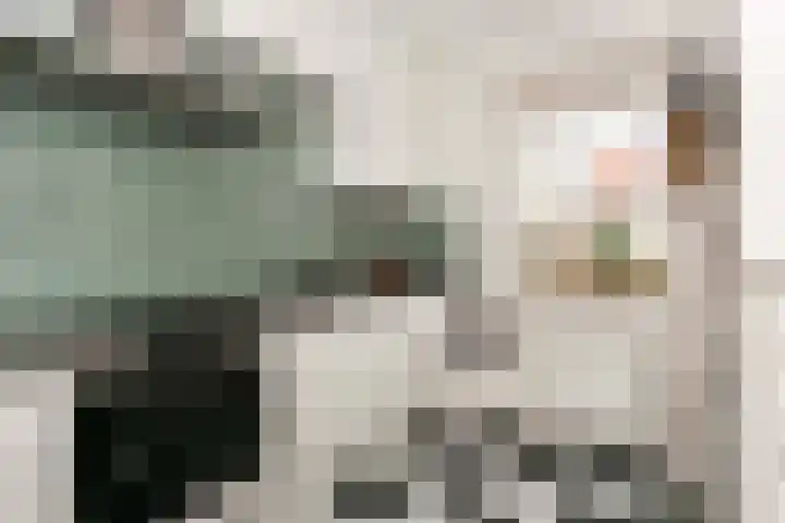 Zwolseveste 85 Nieuwegein thumbnail 6