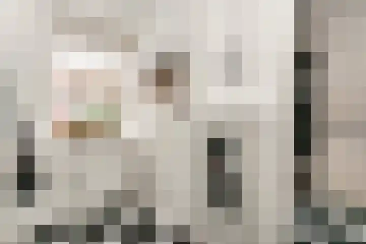 Zwolseveste 85 Nieuwegein thumbnail 8