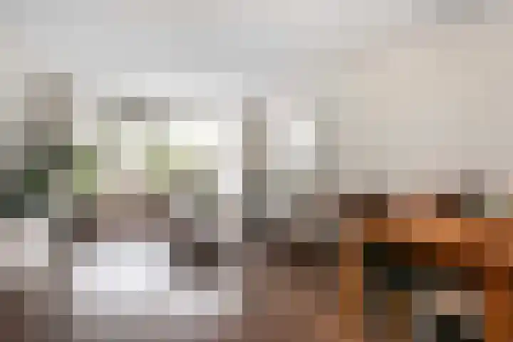 Zwolseveste 85 Nieuwegein thumbnail 9