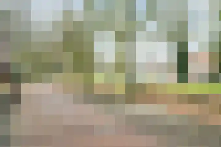 Zwolseveste 91 Nieuwegein thumbnail 34