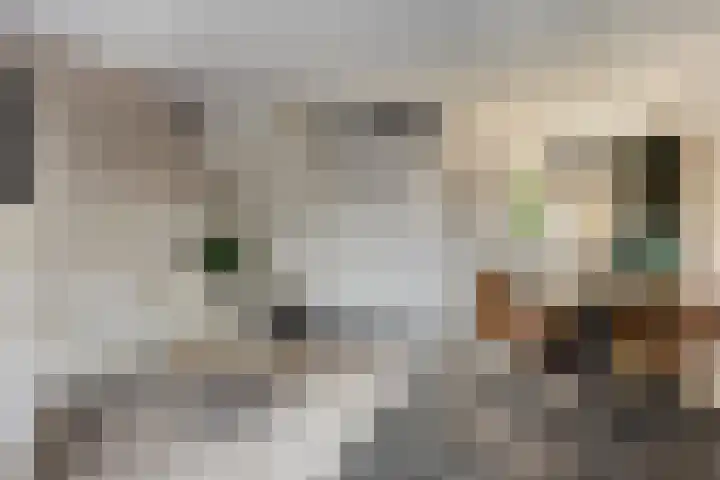 Zwolseweg 1 Heino thumbnail 10