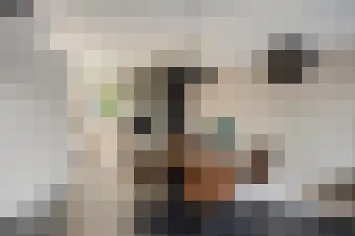 Zwolseweg 1 Heino thumbnail 11