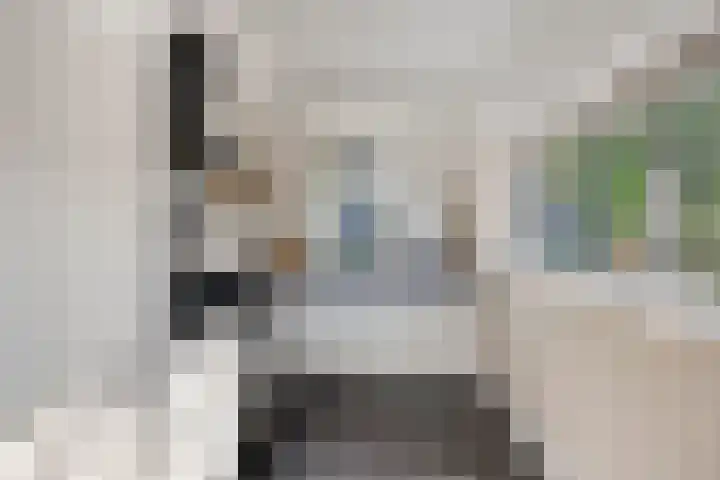 Zwolseweg 1 Heino thumbnail 12