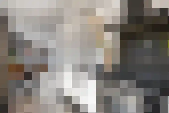 Zwolseweg 1 Heino thumbnail 13