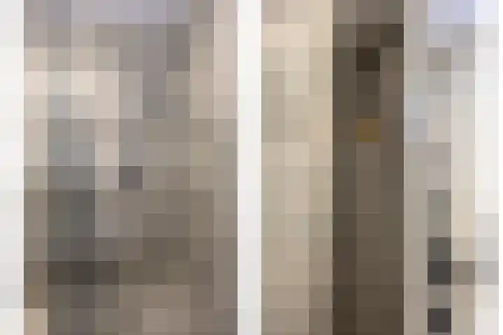 Zwolseweg 1 Heino thumbnail 17