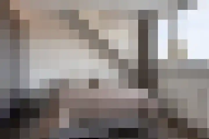 Zwolseweg 1 Heino thumbnail 18