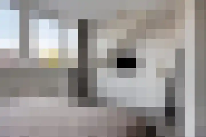 Zwolseweg 1 Heino thumbnail 19
