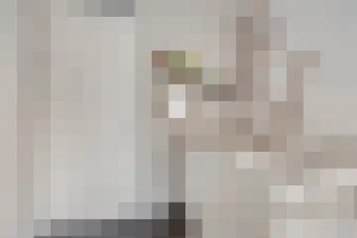 Zwolseweg 1 Heino thumbnail 21