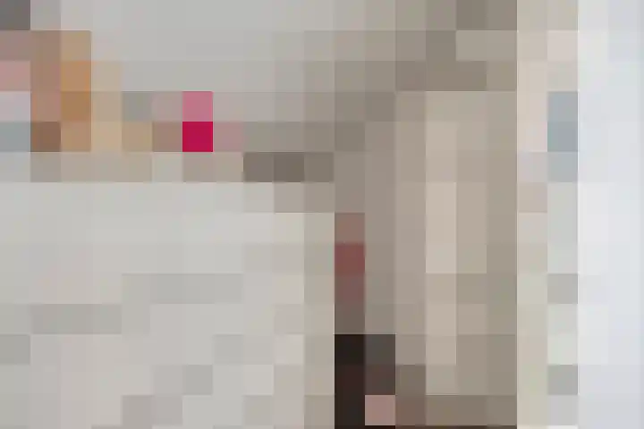 Zwolseweg 1 Heino thumbnail 22