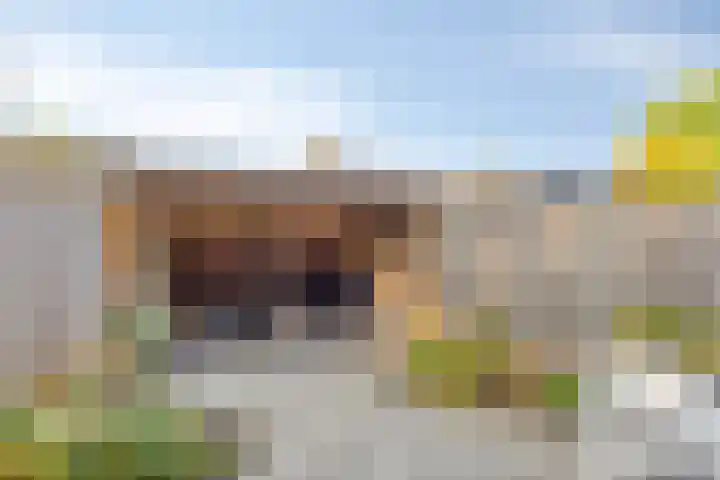 Zwolseweg 1 Heino thumbnail 23