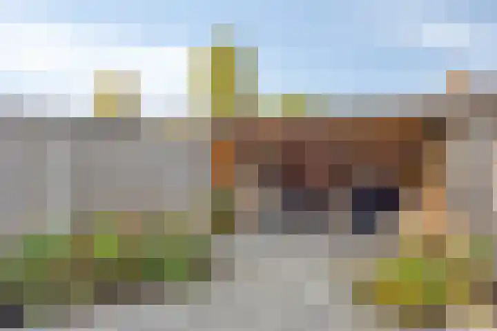 Zwolseweg 1 Heino thumbnail 24