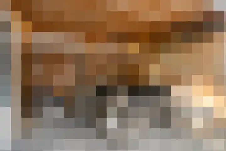 Zwolseweg 1 Heino thumbnail 25