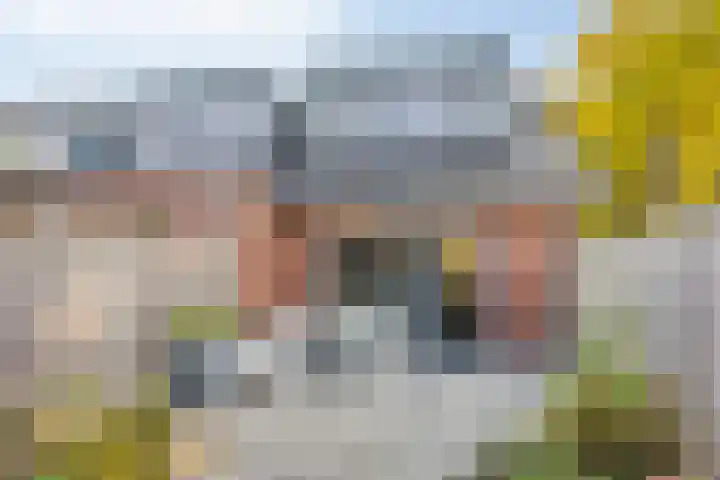 Zwolseweg 1 Heino thumbnail 26